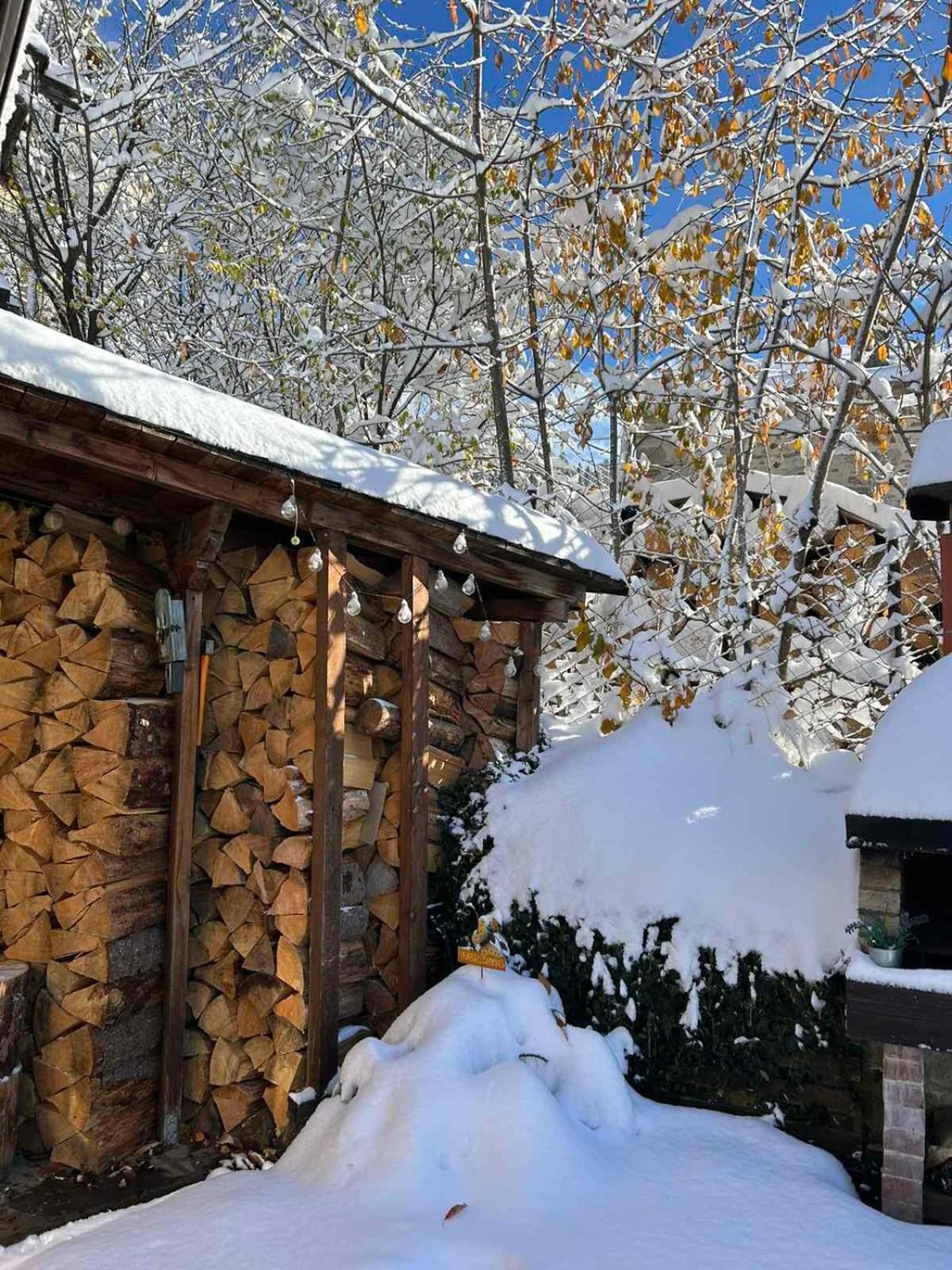 Chepelare Holiday Guest House Dış mekan fotoğraf